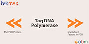 Giới thiệu và hướng dẫn làm xét nghiệm PCR
